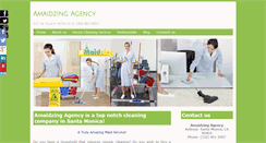 Desktop Screenshot of amaidzingagency.com